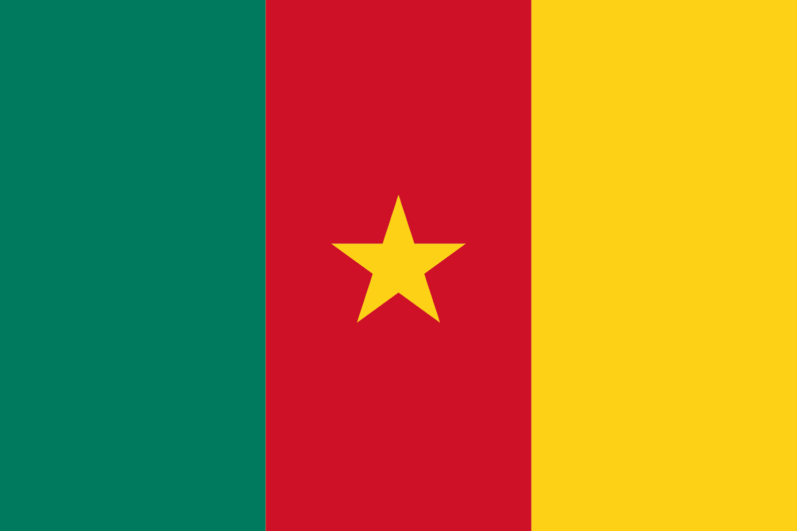 Flag of Cameroon